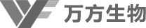 乐天堂